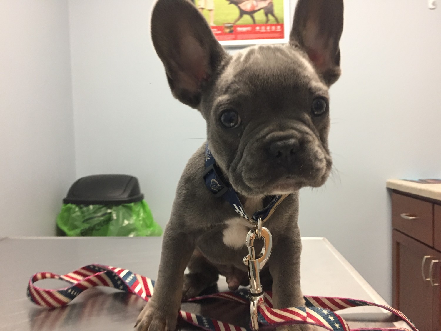 Wilbur
